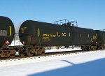 UTLX 207304